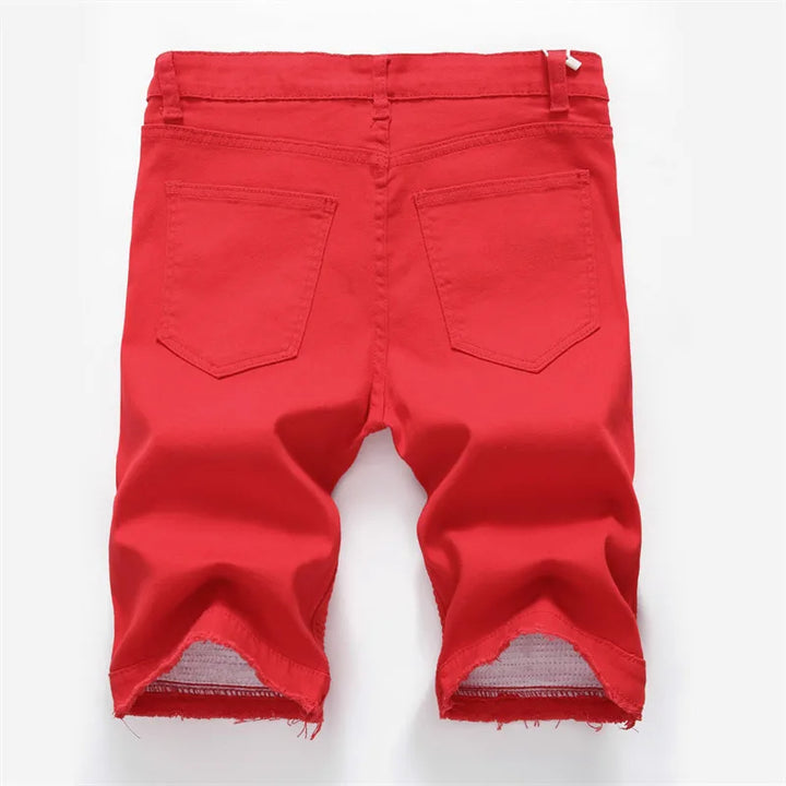 Beltran | Shorts à la Mode Pleats pour Hommes
